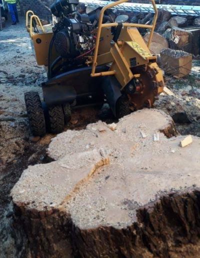 stump chipping sandton