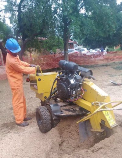 stump griding service sandton