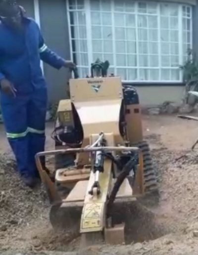 stump removal fourways