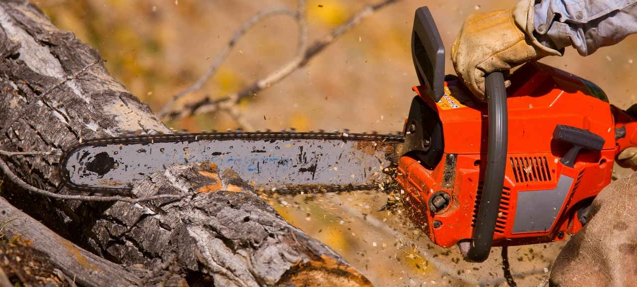 tree-felling-bryanston